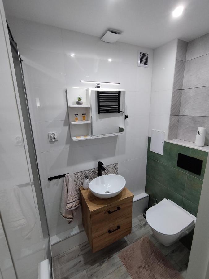 Apartament W Ladku Zdroju Przy Rynku Lądek-Zdrój エクステリア 写真